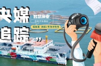 連續兩年央媒高質(zhì)量聚焦報道！HQTS漢斯曼跨界海洋品牌福魚(yú)薈閩投1號備受好評